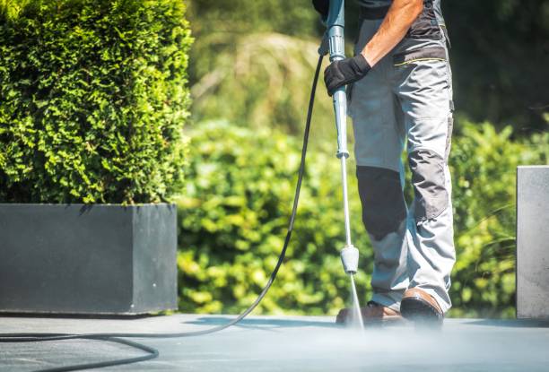 Best Roof Washing  in Gonzales, TX