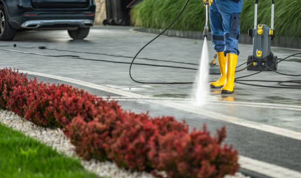 Best Dumpster Area Cleaning  in Gonzales, TX